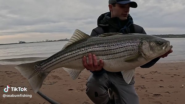 Catch Big Striped Bass: Fishing Session Highlights