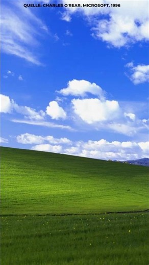 Die Windows-XP-Wiese war ein Bug.