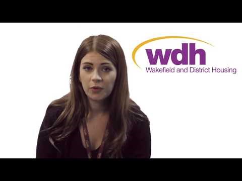 The Benefits of Work Experience