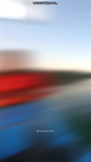 How to Safely Right a Flipped Kayak