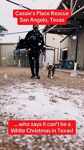 Even on Christmas…they work their magic, go Cassie’s Crew! #cassiesplacerescue #sanangelotx #everydayheroes #merrychristmas | Cassie's Place