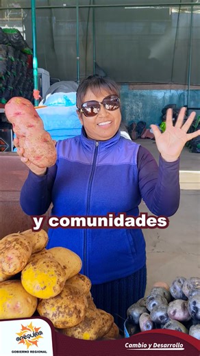 🥔🌽 ¡Celebremos juntos el Día Nacional de la Papa y el Maíz! 🎉 Actividades culturales, exposiciones, concursos y venta de productos agropecuarios te esperan. 📍 Explanada del Parque Selva Alegre – Cercado de Arequipa 📅 Domingo 01 de junio 🕗 De 08:00 a.m. a 4:00 p.m. Gobierno Regional de Arequipa, Gerencia Regional de Agricultura. ¡Te esperamos para celebrar nuestra riqueza agrícola y cultural! #CambioYDesarrollo | Gobierno Regional de Arequipa