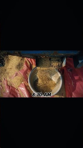 Village Life Day-8 #villagevlog #villagelife#viral#shorts #workout #villagevlog#minivlog#homeworkout