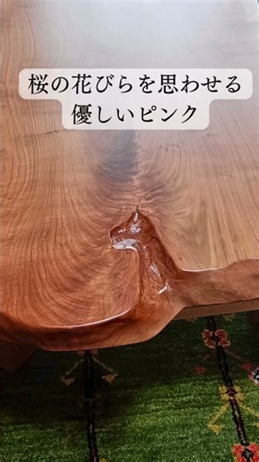 桜 儚く美しい一枚板
