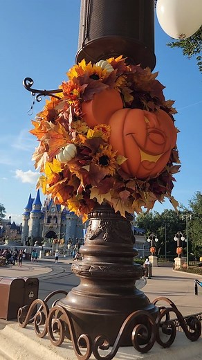 Mickey's Not So Scary Halloween Party has officially begun! @disneyparks @waltdisneyworld @disneyeats #disneyhalloween #mickeysnotsoscaryhalloweenparty #mickeysnotsoscary #disneyafterhours #bootoyou #waltdisneyworld #disneyparks #magickingdom #mainstreetusa #disneyparty #disneyworld #halloweendecor #mnsshp #disneyfood #disneydining #disneycreators | Chip and Company