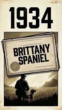 The story behind Brittany dogs in about 60 seconds #HistoryInAbout60Seconds #Shorts