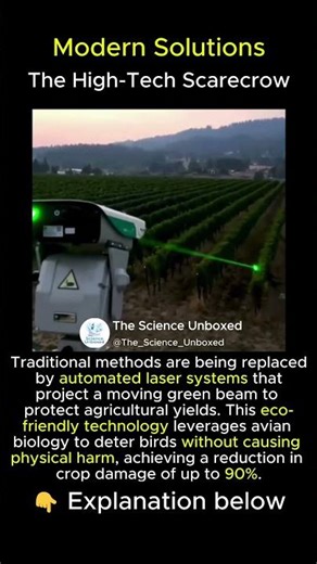 Lasers vs. Birds: The Future of Farming! 🌾🟢