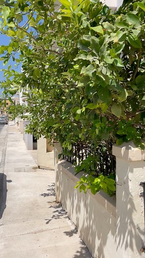 Check out our new student apartment! 🏡 #englishcourse #accommodation #malta #LearnEnglishOvertheSun | Maltalingua English Language School