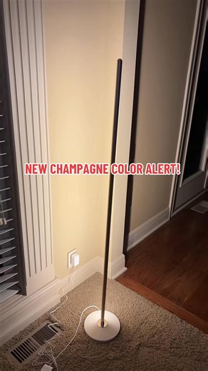 😘Transform Your Space! ✨Brighten up any room with the Govee LED Smart Floor Lamp. Say goodbye to dullness and hello to ambiance! | GOVEE