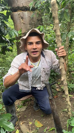 Videos de Mapache (@mapache0664) con “sonido original - Mapache”