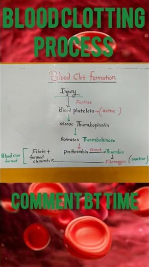 Blood clotting process /Coagulation process #biology