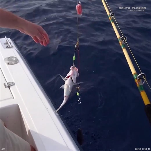 Going DEEP SEA Fishing in Jamaica | South Florida Fishing Channel