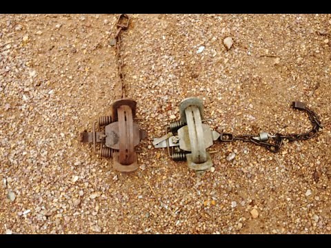 How to center swivel foothold traps in under 10 minutes!