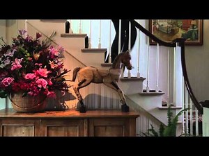 The Wauwinet, a Luxury Nantucket Hotel