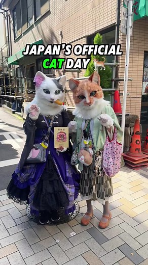 Celebrating Japan's Official Cat Day with Feline Friends