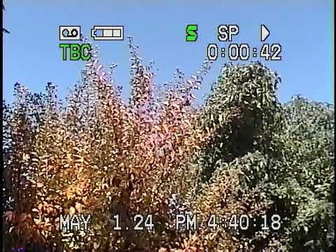 VHS/S-VHS quality comparison