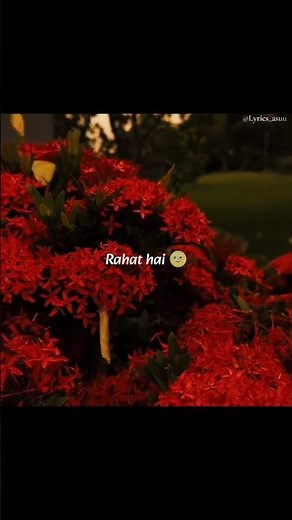 Kaash Tu Aise Aaye ❤️‍🩹 | Sun Raha Hai Na Tu | Aashiqui 2 | Shreya Ghosal | Lyrics video #lyrics