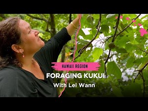 Foraging Kukui with Lei Wann