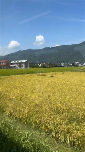 Peaceful Japanese scenery Ichibata electric railway Izumo Shimane Japan 日本 島根県 出雲市 一畑電車 のどかな風景