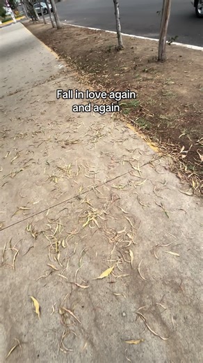 Discover the Joy of Artistic Gymnastics