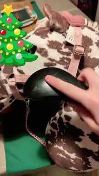 I'm going to start to do hobby horse vids !!