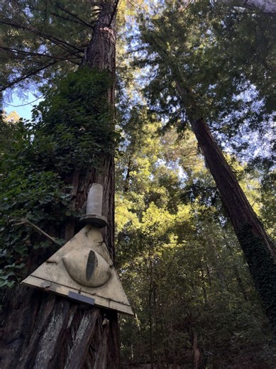 Exploring Gravity Falls: A Perfect Road Trip Destination