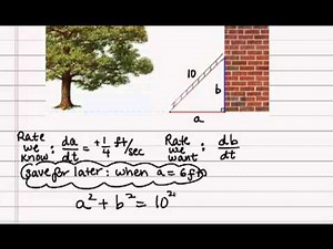 Calculus - Related Rates - Ladder Sliding