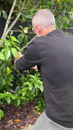 One battery. Endless possibilities. 🔋✨ Swap. Click. Go. ✅ The AS Battery Range makes every tool ready for action. Which one would you use first? 👀 | STIHL