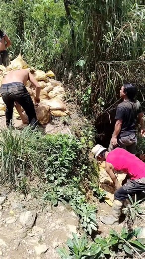 20K views · 209 reactions | #strongminer pull out time | Bhro Vlog | Facebook