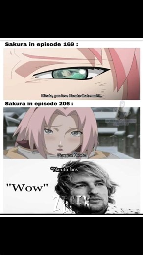 Sakura🗑