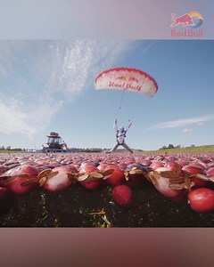 Crantastic swooping 😏🪂 Jeff Provenzano slides across Wisconsin Cranberries - home of the world’s biggest cranberry harvest | Red Bull Adventure