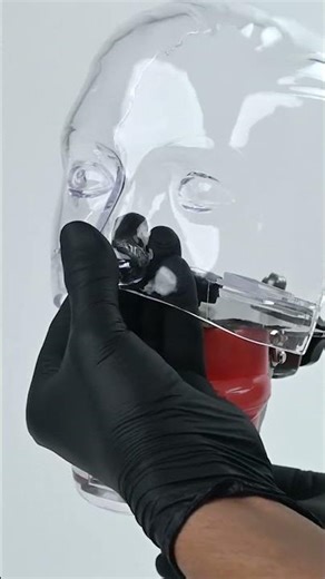 Identical Table Mount Dental Manikin (M1003-3) | Best Dental Practice Model for Training & Teaching