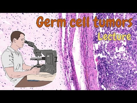Pathology - Germ cell tumors (ENG)