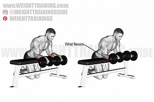 Dumbbell wrist curl over bench exercise instructions and video