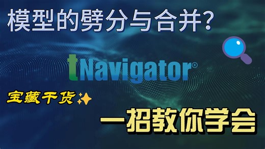 tNavigator模型的劈分与自动合并