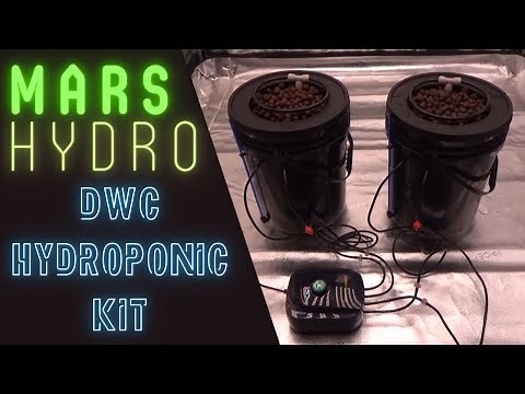 Mars Hydro DWC Hydroponic Kit Unboxing, Setup & Review