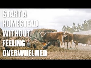 How to Start HOMESTEADING When You're OVERWHELMED