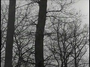 Abschied von gestern (Anita G.) - Alexander Kluge (1966)