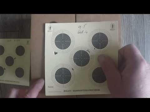 pellet speed v accuracy round 2