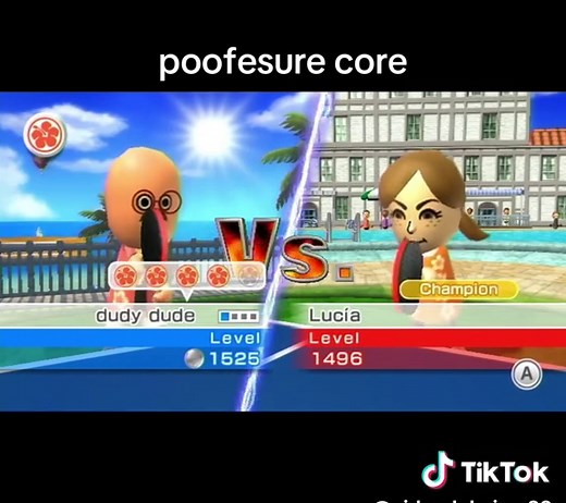 Understanding Wii Sports Resort and Motion Plus