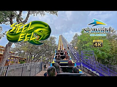 Steel Eel Roller Coaster On Ride Back 4K POV SeaWorld San Antonio 2024 10 18