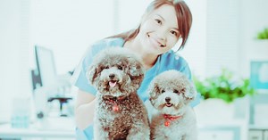 Top Veterinary Journals - What And How To Get Published in 2026