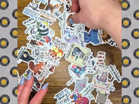 Funny Cheeky Animal Stickers | Silly & Punny Animal Antics | Waterproof, Humorous Animal Sticker Bundle | Laptop, Kindle, Bottle Stickers - Etsy