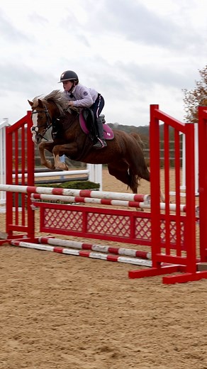 133K views · 10K reactions | “I don’t think you have any idea what your sat on..” Who agrees with @katygreen09? 﫠 Full video can be seen on our channel NOW and you won’t want to miss how Katy has already transformed this pair - truly don’t know what we’d do without Katy’s guidance (remember she still has clinics YOU can book onto for any age/ability - don’t miss out!)   in bio - let us know what you think of this one! | Jumping with Ivy | Facebook