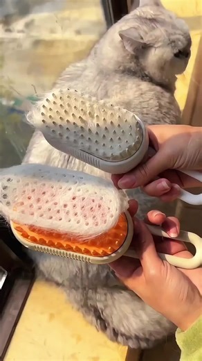 Pet comb!#fyp #foryou #foryoupage #top#tiktok #cat