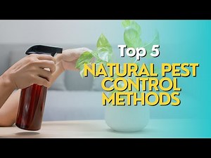 Top 5 Natural Pest Control Methods