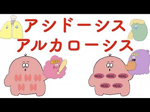 【解剖生理】アシドーシス・アルカローシス