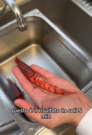 Come Preparare i Gamberi Rossi in 5 Minuti