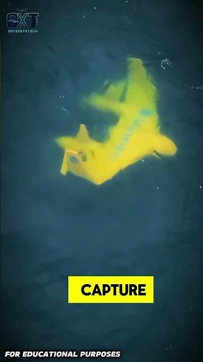 Harnessing the Ocean’s Power: A Revolutionary Underwater Energy System #documentary #usashorts#fyp