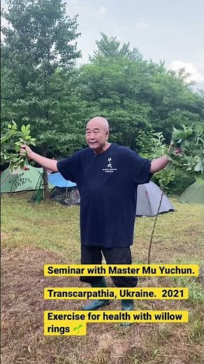 Exercise for health with willow rings. Seminar with Master Mu Yuchun.